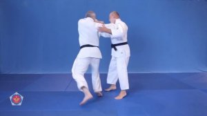 Tai otoshi(тай отоши) Броски на кю 4(оранжевый пояс) дзюдо