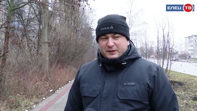 В семье рябин пополнение: на улице Свердлова специалисты питомника высадили новые деревья