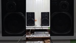Колонки Technics SB-CD350