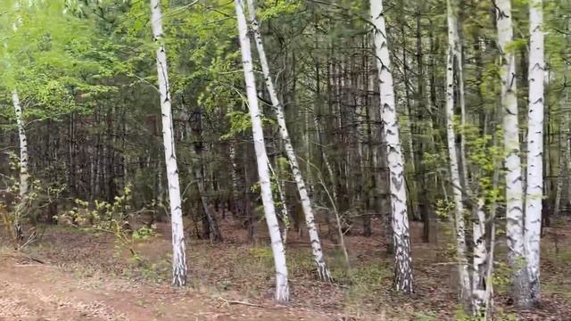 Красота природы: Михайловка Марксовский район Саратовской Области/04.05.21 смотреть онлайн