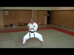 Goju Ryu karate-do. Sensei Masakazu Kuramoto. Kata Seisan.
