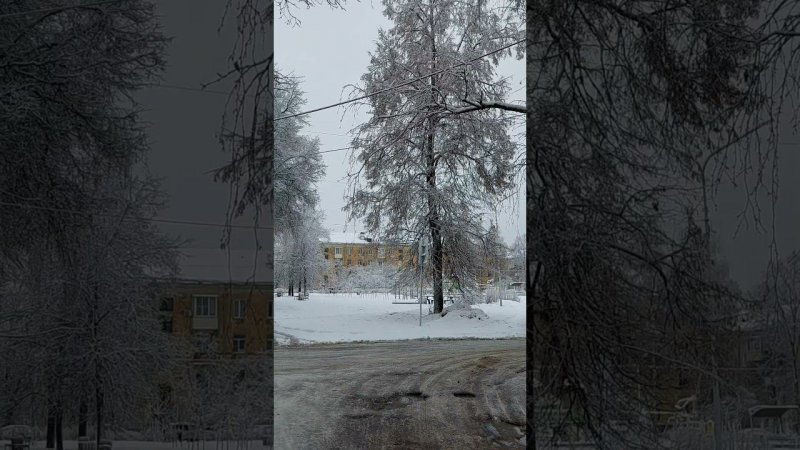 Предновогодняя погода ☃️