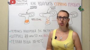 Как удалить серную пробку в домашних условиях