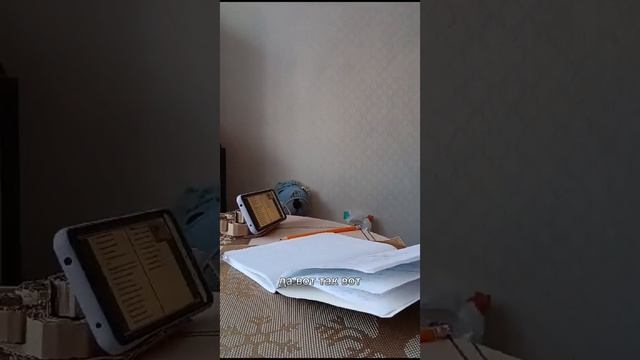 Конференция для новой песни!