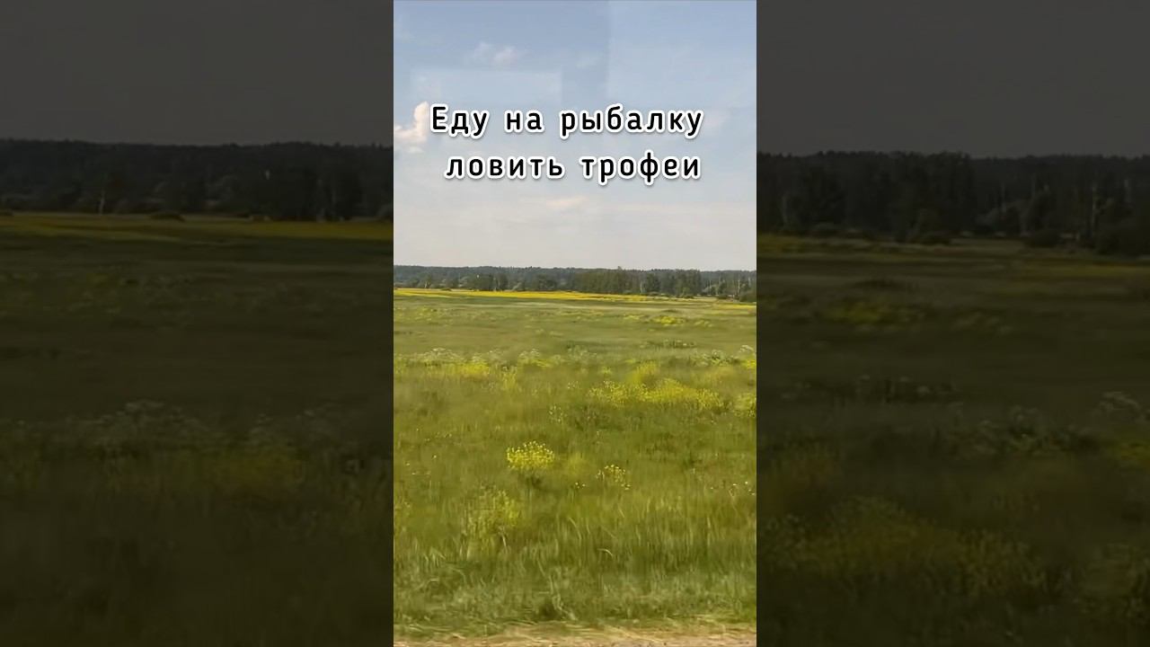 Ожидание  Реальность  #рыбалка #рыболовныйюмор #приколынарыбалке #ржака #мем #спиннинг #голавль