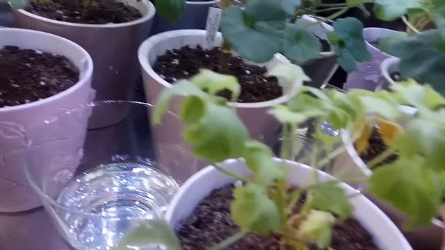 Итоги ушедшего года,потери. Готовимся к лету с оптимизмом. смотреть онлайн