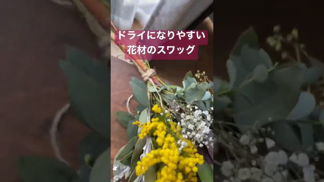 【ドライフラワー】プロテアを使ったドライになりやすいお花でまとめてみました。　ミモザ　【花屋　花りん】