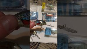 Воблеры salmo hornet 4,5,6, типы sinking(тонущий), floating (плавающий).