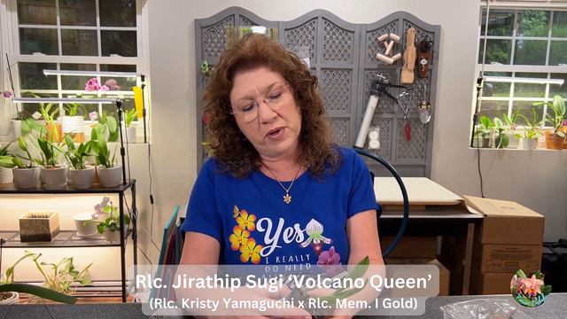 Better-Gro Orchid Haul/Green Orchid/Sept2023 смотреть онлайн