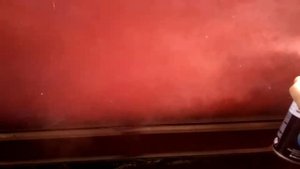 Как быстро освежить цвет авто