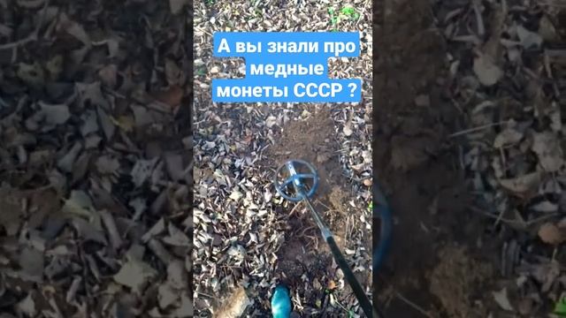Вы видели медные монеты СССР ?  #монеты #медныемонеты #старинныемонеты