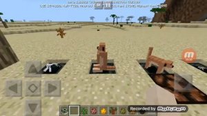 Текстуры майнкрафта 1.14 обзор