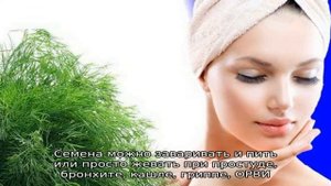 Укроп для женщин: чем полезен для организма