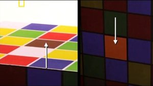 Иллюзия восприятия цвета