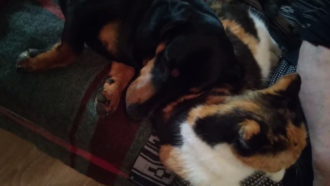 7 октября 2022 г. смотреть онлайн