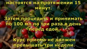 Брусника для похудения - народные методы