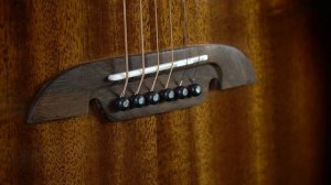 Alvarez Artist AF66CE Folk/Orchestra Electro-Acoustic - Overview & Demo