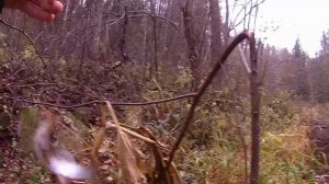 Сказочная РЫБАЛКА! О такой Я ТОЛЬКО МЕЧТАЛ... Ловля хариуса поздней осенью!