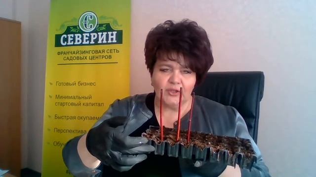 Размножаем кустарники. Черенкование в прямом эфире. Повтора не будет!!! смотреть онлайн