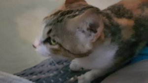 Поездка на Филиппины