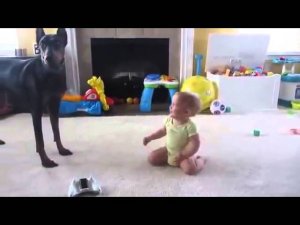 Собака играет с маленьким ребенком