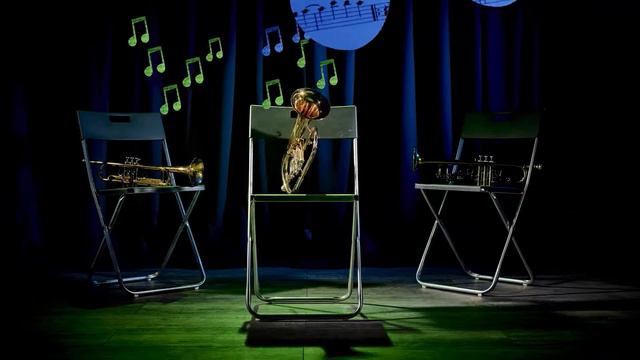 Triple Trumpet Gig Bag / Case by Fusion-Bags.com смотреть онлайн