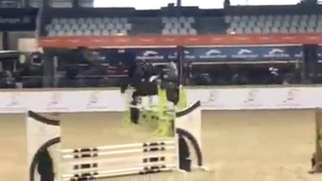 Texas z 4 y stallion. Thunder vd Zuuthoeve x Utrillo z x Camus with Heino van Loon