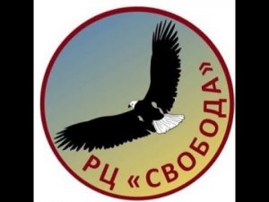 Школа консультирования ЦП Свобода