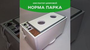 Норма Парка1