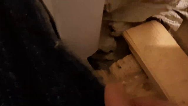 Избавиться от мышей в частном доме смотреть онлайн