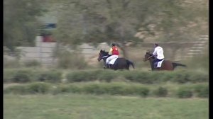 Жорго-Салыш (World Nomad Games/Всемирные игры Кочевников)