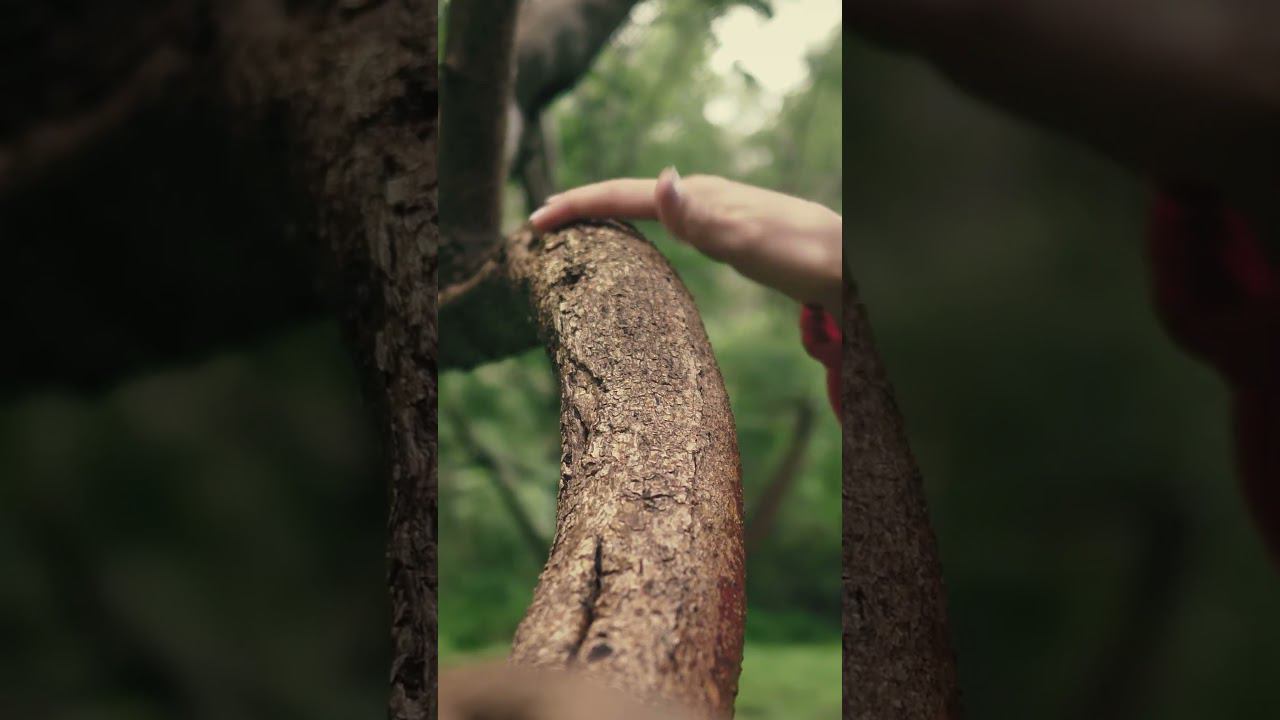 Женская психология. Уходи. Я точно не исправлюсь. | Стих к видео | #Shorts смотреть онлайн