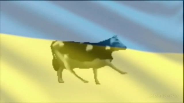 Польская короваГимн Украины