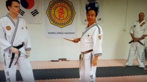 Korea Jonsu Hapkido