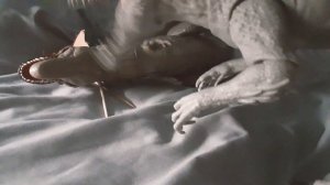 jurassic world T-Rex vs Indominus Rex and Blue final battle