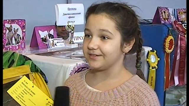 Выставка кошек смотреть онлайн