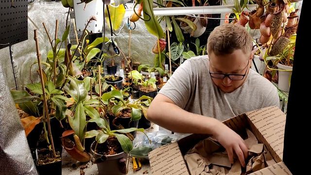 Unboxing Carnivores Plants From Redleaf Exotics, Florae Collaborative, and Insect Inside Nursery!