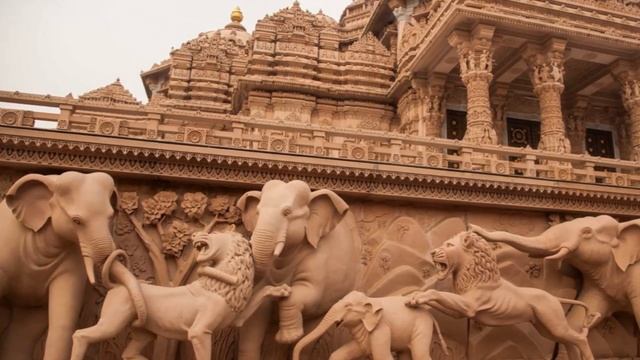 Слоны- мои друзья смотреть онлайн