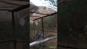 Делаю навес в лесу с дырявого тенда. Получаю кайф от процесса.