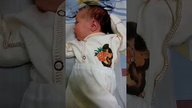 Первые дни в роддоме смотреть онлайн