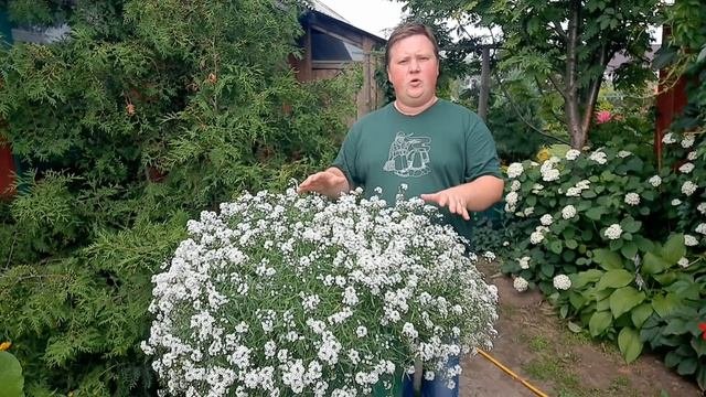 Простая ПОДКОРМКА и сад взорвётся цветением!???