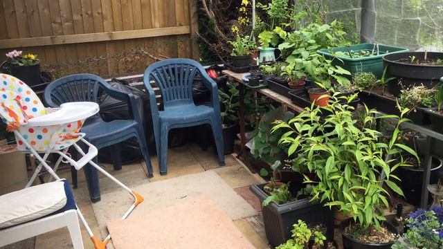 Homegrown Food. Edible Britain. National Gardening Week (2019) смотреть онлайн