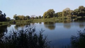 Рыбалка в Лукашах озеро на даче в Лукашах