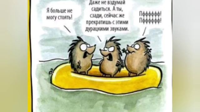 Веселый ежик в картинках =) смотреть онлайн