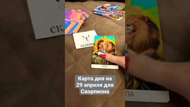 Карта дня для Скорпиона