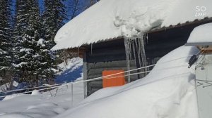 Тофалар 600. испытание амортизации! поездка в лес с новым валом!