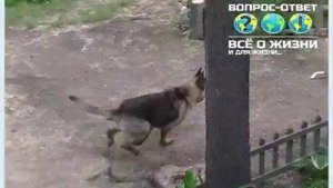 Детский деревянный игровой домик с горкой своими руками