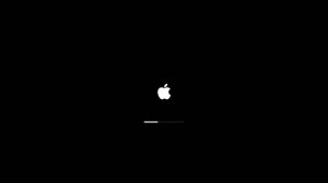 Соломенный Элькапитан!  macOS Sonoma 14.4.1 на Mac Pro 3.1 (GTX 680/640)