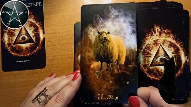 Оракул Мастера смотреть онлайн