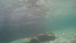 Бухта Петрова Приморский край